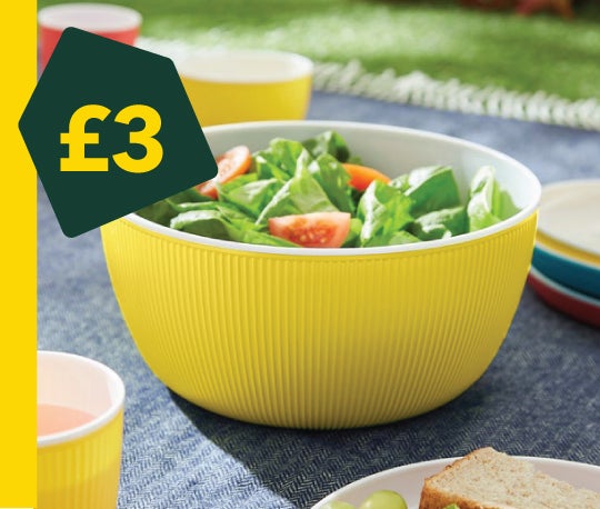 Brights Picnic Salad Bowl