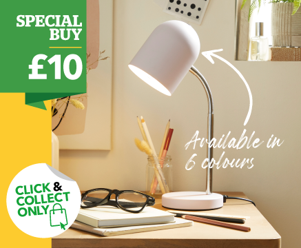 Newton Desk Lamp