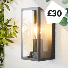 Ripon Outdoor Wall Light