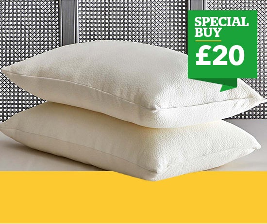 Soft and Bouncy Memory Foam Pillow Pair