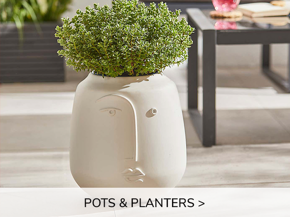 Shop Pots & Planters 