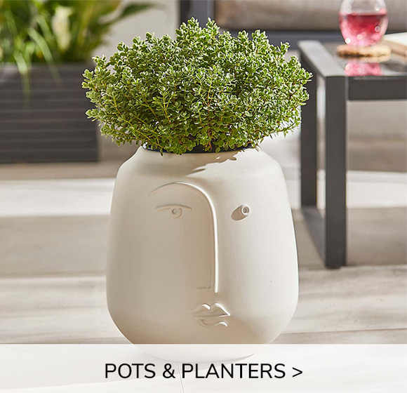 Shop Pots & Planters 