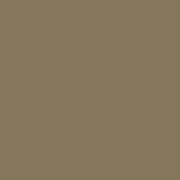 Woodland Vole