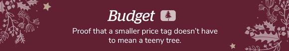 Budget *