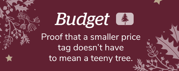 Budget *