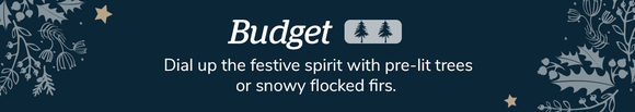 Budget **