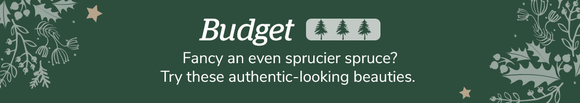 Budget ***