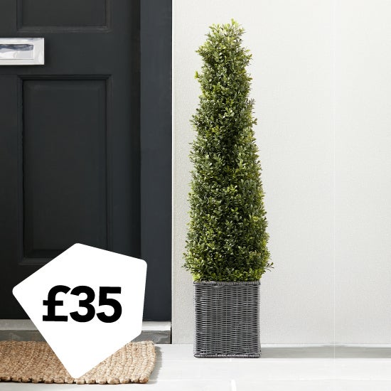 Boxwood Cone Tree 90cm