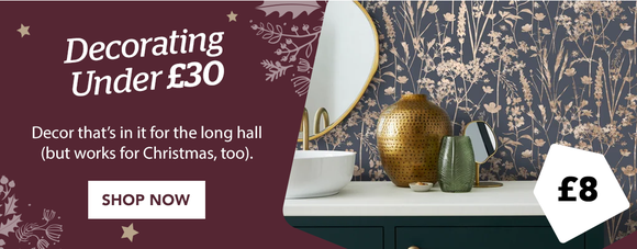 Decorating under £30