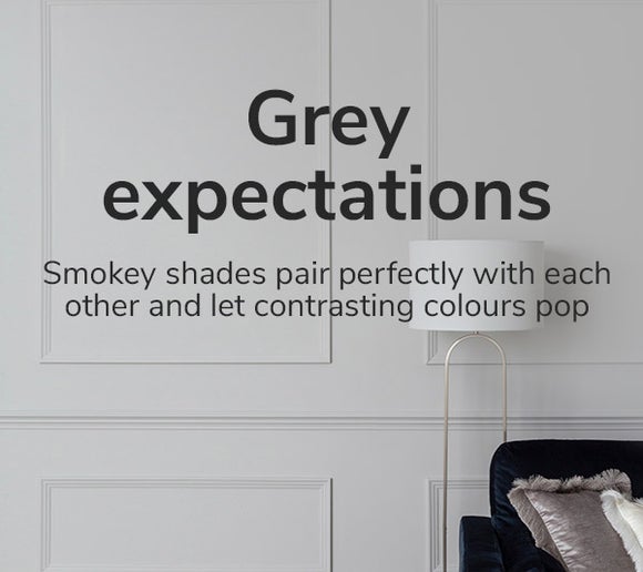 Dunelm Pale Silver Matt Emulsion Paint