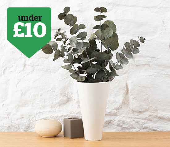 Decor delights under £10