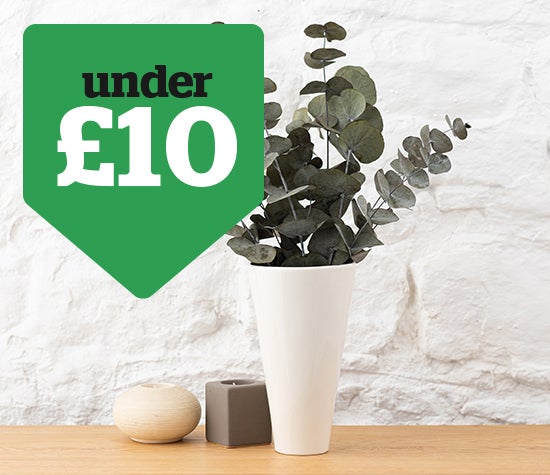 Decor delights under £10